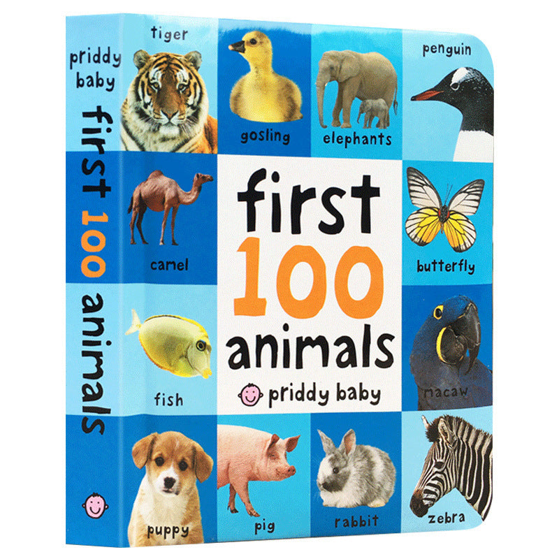 Original First Words Board Book – Early Language Learning for Children